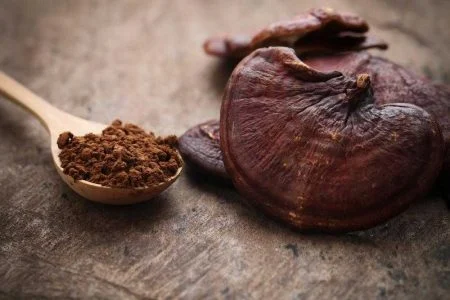 طریقه مصرف پودر قارچ گانودرما