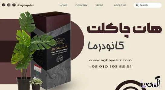 هات چاکلت گانودرما برای چاقی
