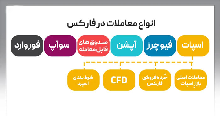 تنوع معاملات در فارکس و امکان کسب درآمد بالا