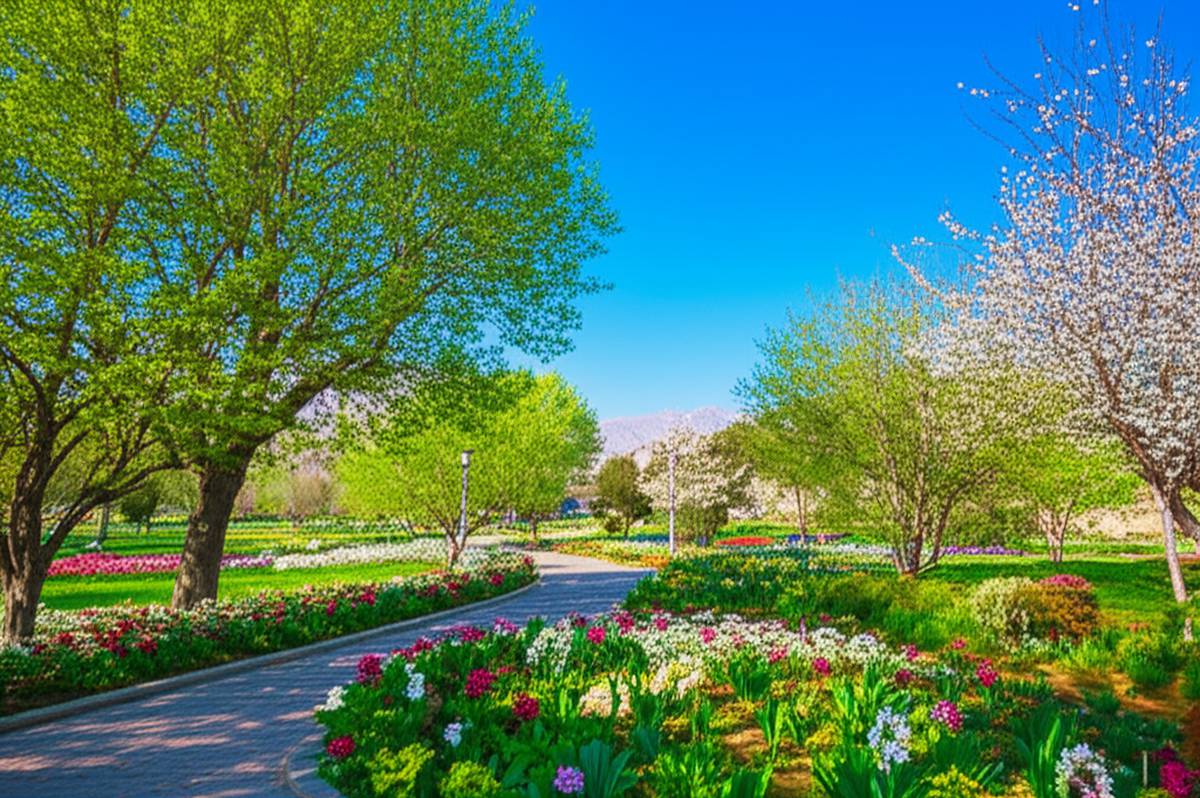 بهار در کرمان بهترین زمان سفر به کرمان