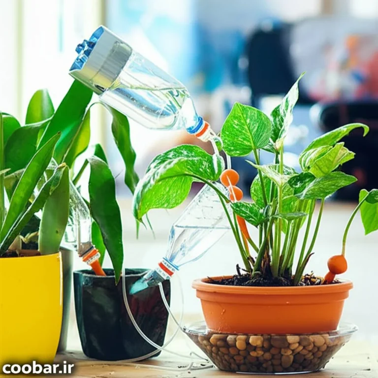 راهنمای جامع آبیاری گیاهان آپارتمانی در زمان مسافرت و سفر