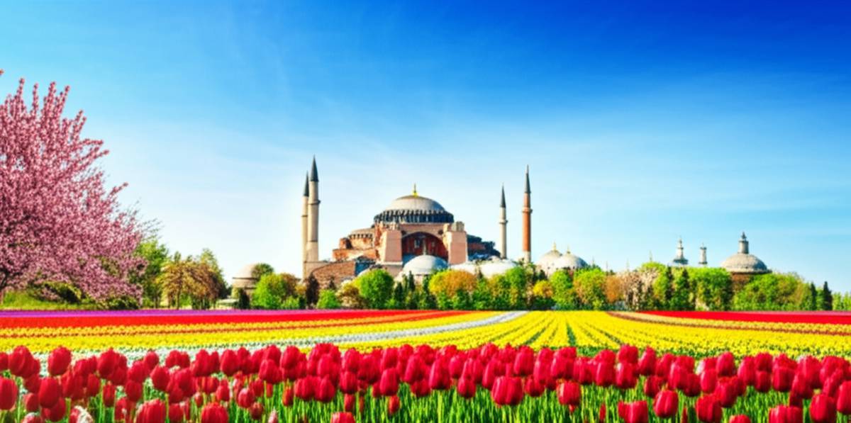 بهترین زمان سفر به ترکیه | راهنمای جامع سفر بهار